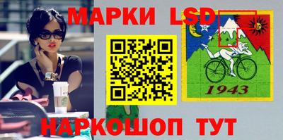 крисы Братск