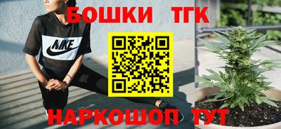 индика Боровичи