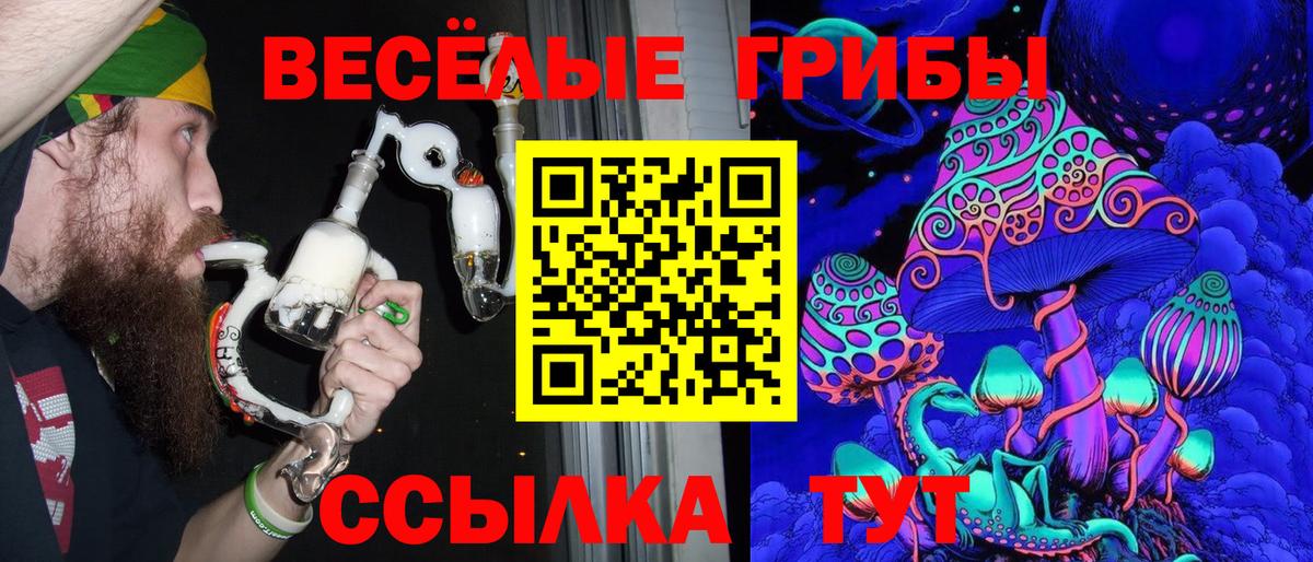 Асино  купить наркоту  Вход с VPN  Псилоцибиновые грибы ЛСД 
