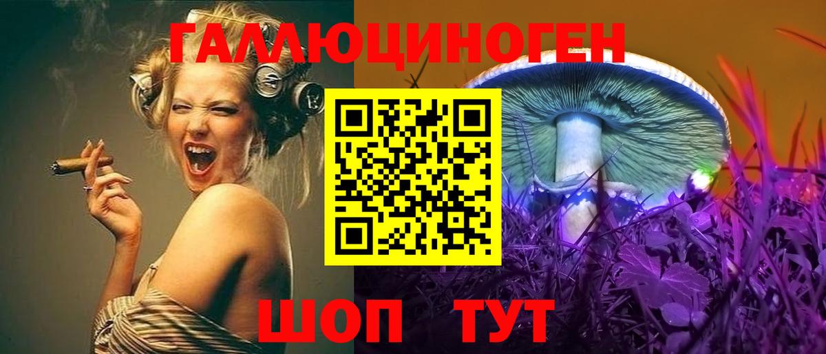 Псилоцибиновые грибы Psilocybe Асино